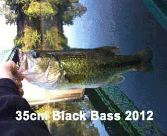 predator fishing black bass pike caught at Aquitaine Gites 